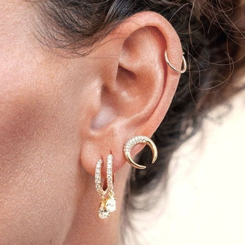 Horn Stud Crystal Earrings